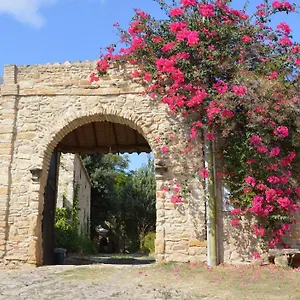 Sa Domu De Sa Contissa Bed & Breakfast Selegas